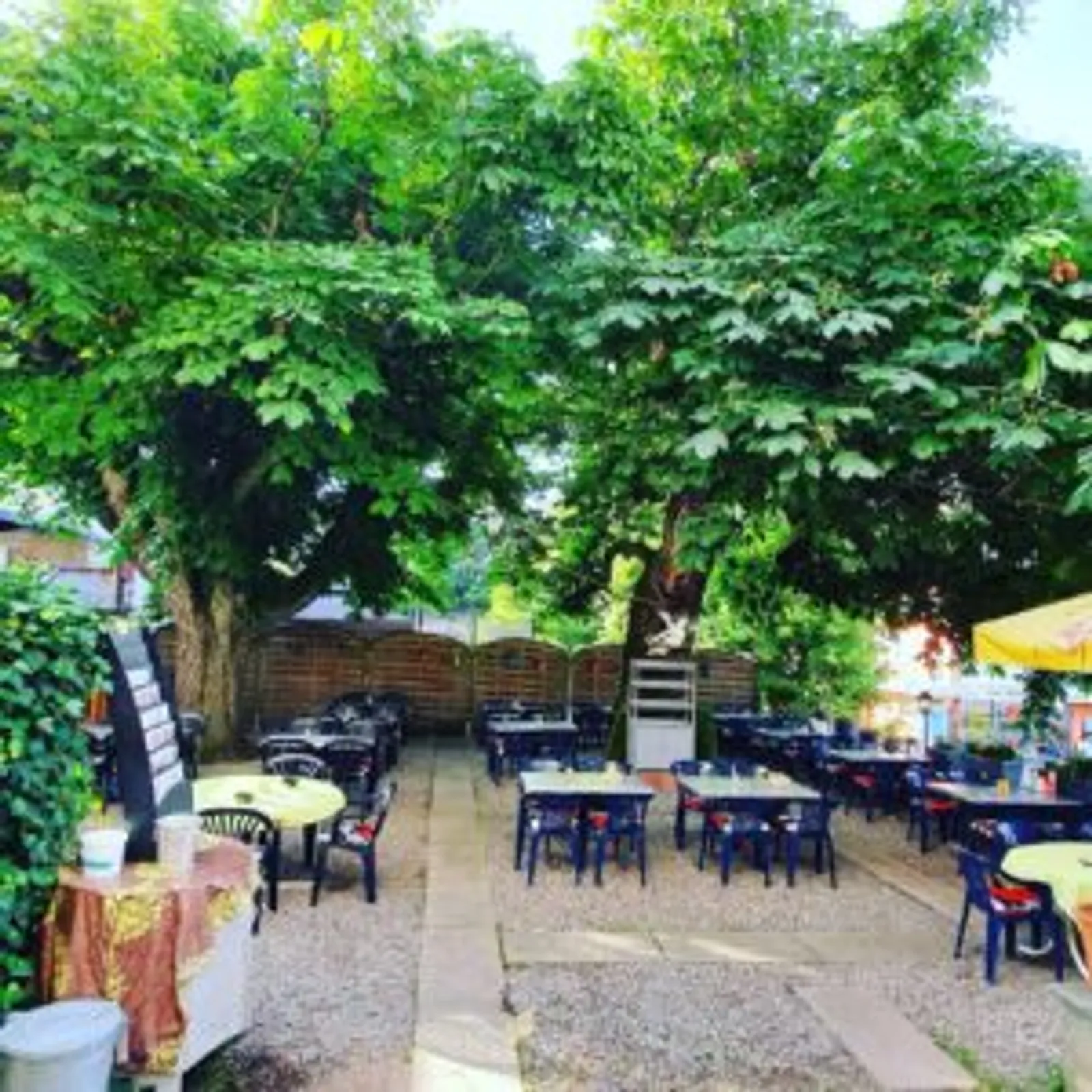 Terrasse des Landgasthofs Sternen unter dichtem Kastanienbaum-Blätterdach